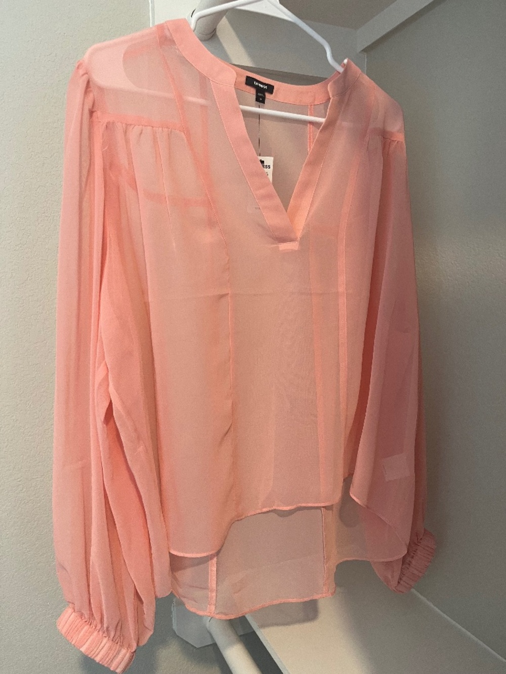 Express Sheer Peach blouse